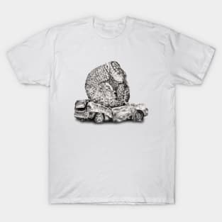 An Inelegant Armadillo T-Shirt